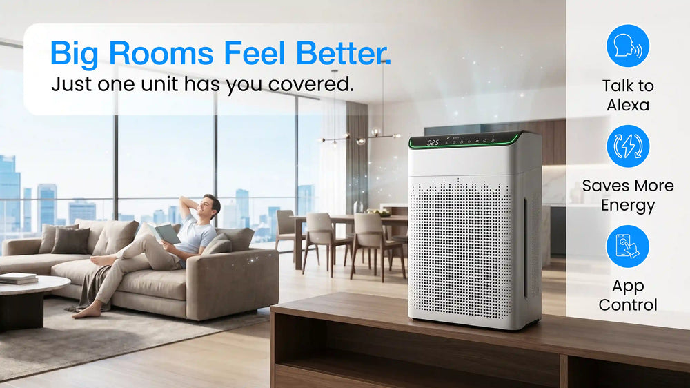 Built for Large Spaces & Everyday Living