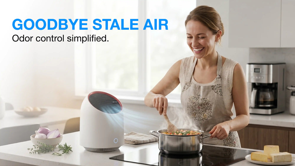 Air Fresh Made Easy: Smell Removal Technology